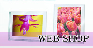 WEBSHOP
